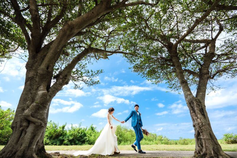 ガジュマル並木にて