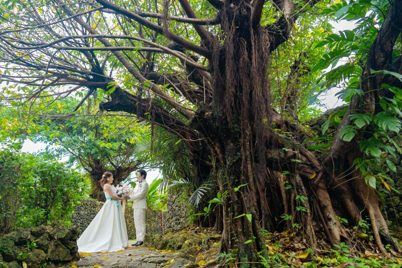 大きな木の下で