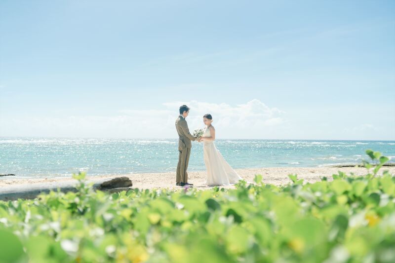 ビーチにグリーンの絨毯