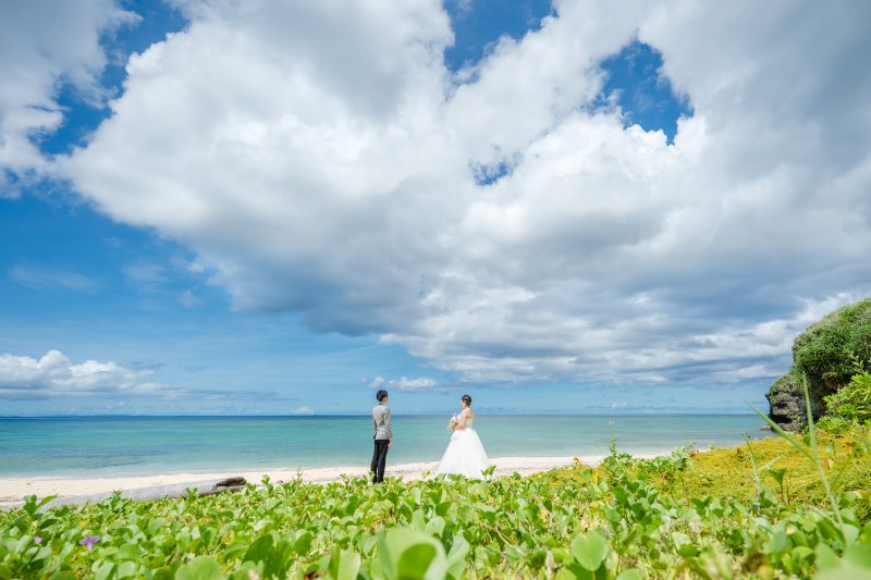 緑と青のコントラスト