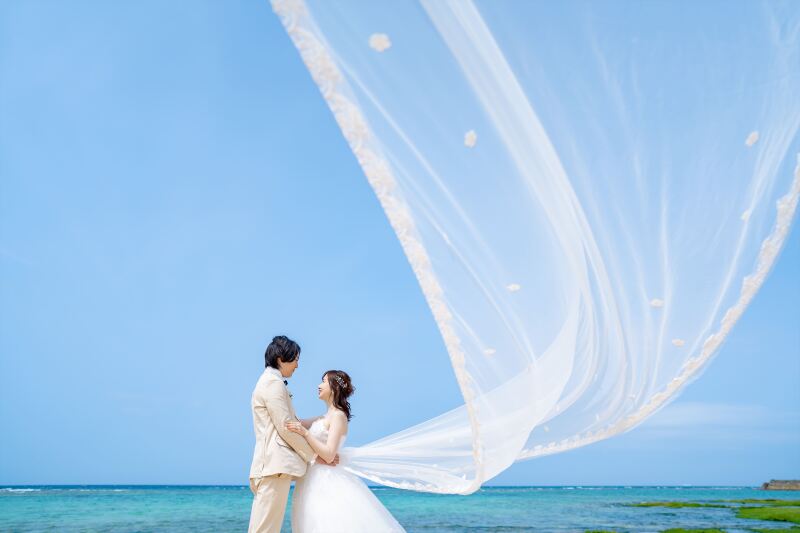 ロングベールショット