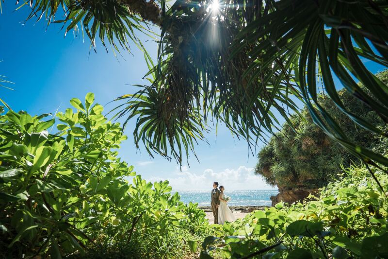 亜熱帯の自然に囲まれて