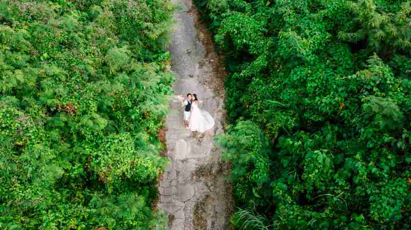 ドローンカットが映える森