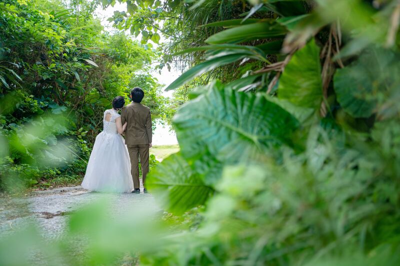 ビーチに続くグリーンの小道