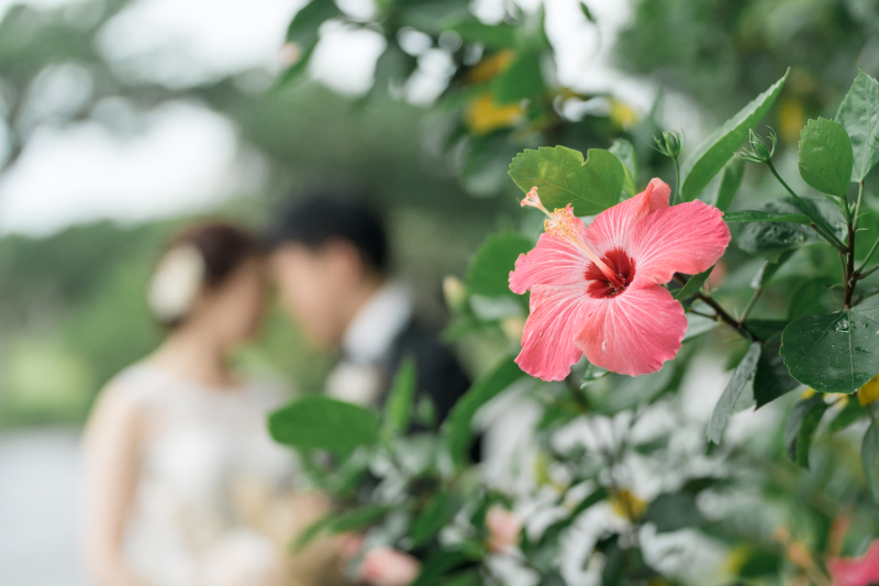 グリーンでの撮影も◎