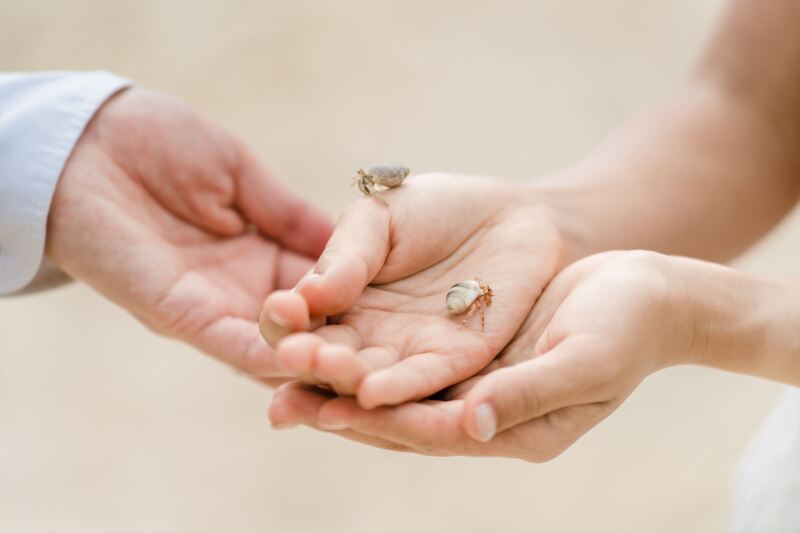 優しく手のひらに乗せて