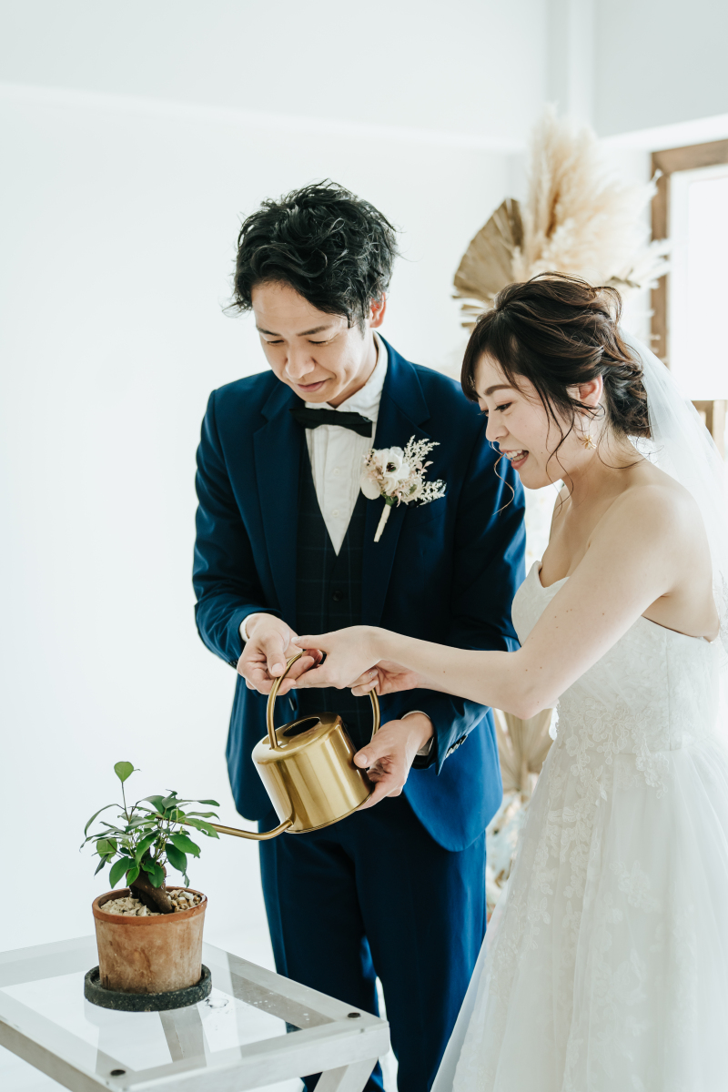 多幸の木ガジュマル