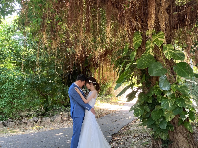 ガジュマルの木の下で