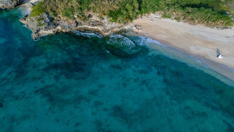 海側から撮影！