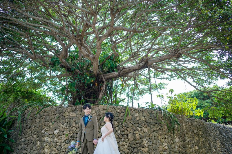 ガジュマルの樹