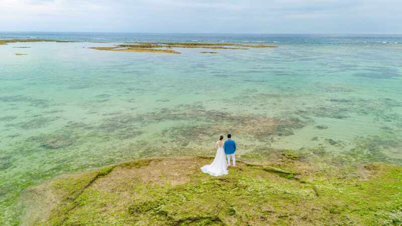 ダイナミックなカット