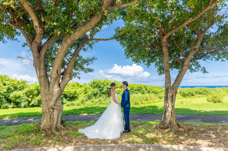 ガジュマル並木様の下で