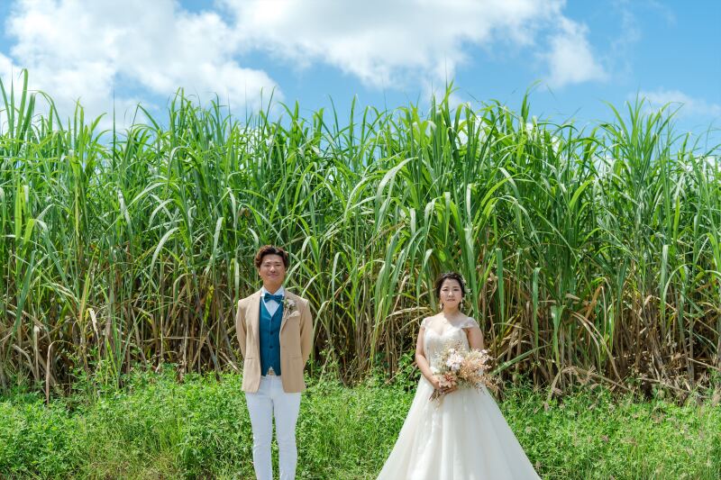 とっても良いお天気です