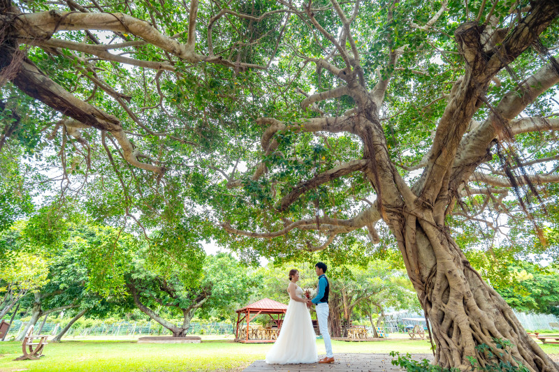 ガーデンフォト！