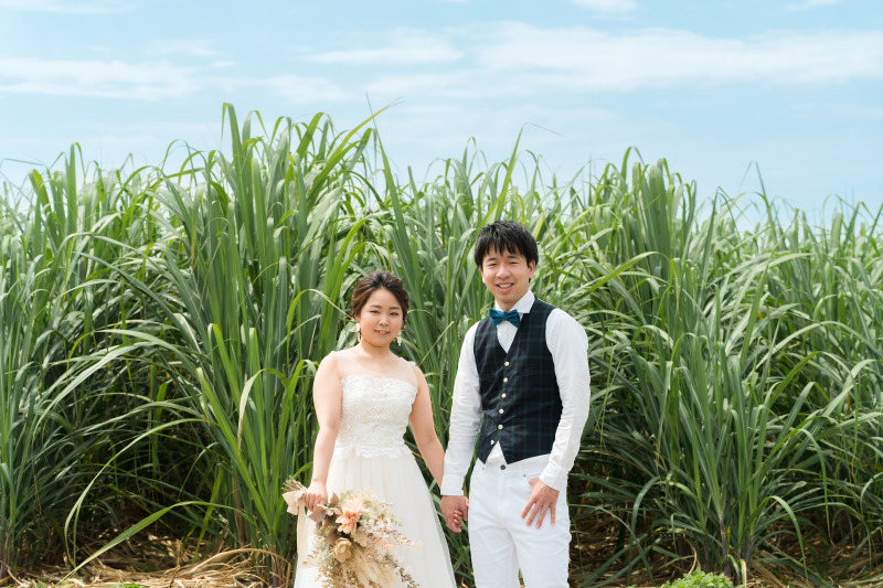 さとうきび畑をバックに