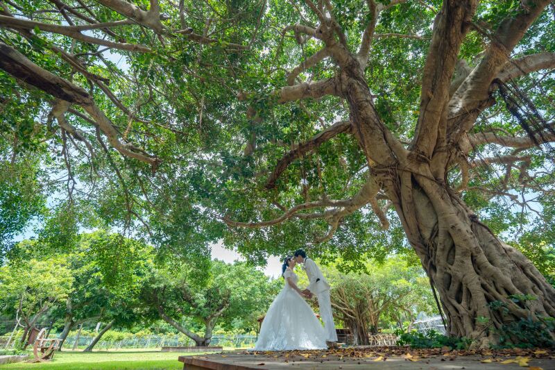 おおきな大きな木の下で
