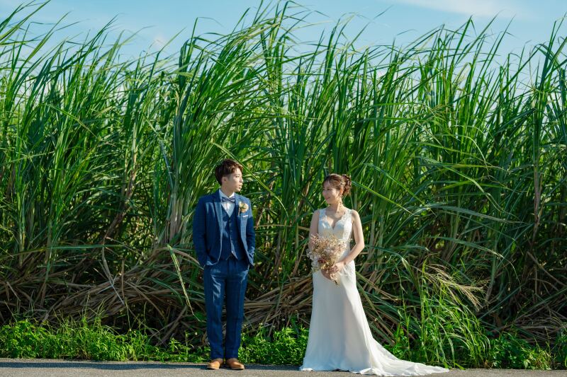 サトウキビ畑の前で