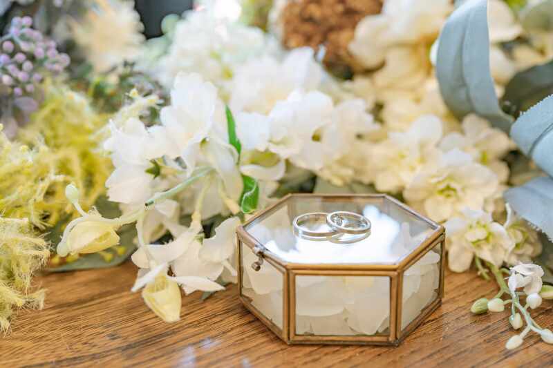 イメージカット