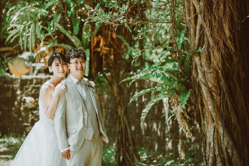 ガジュマルの樹