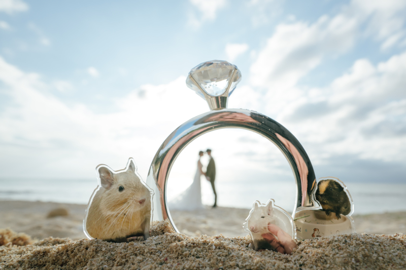 リングフレーム