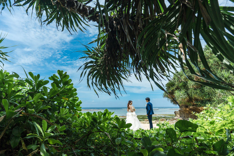 青と緑のコントラスト