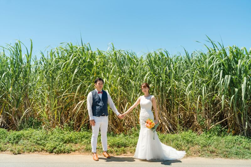 ザワワ、ザワワ、ザワワ～のサトウキビ畑の前で