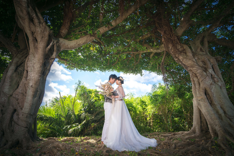 ガジュマル並木様に差し込む「光」と「青い空」