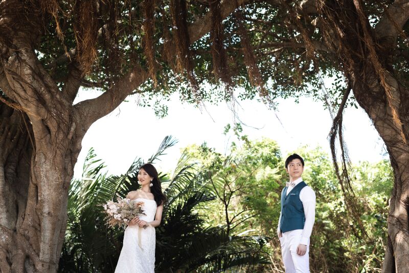 ガジュマルの樹