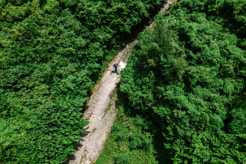 緑感じるダイナミックな1枚！