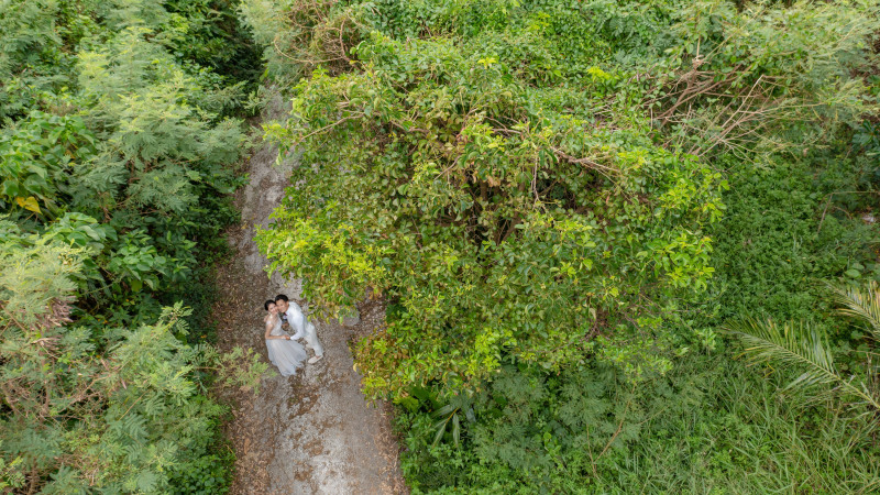 ビーチへつづく並木道