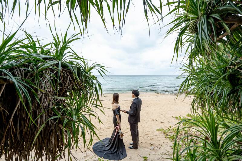 南国の木々を使った素敵なフレームショット