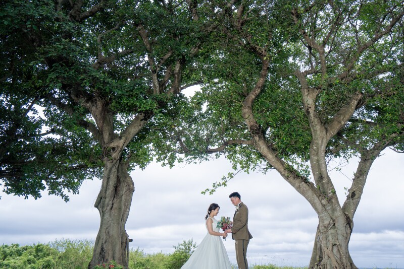 多幸の木でのショット!