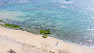 緑と青のコントラスト☀
