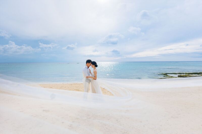 ロングベールショット