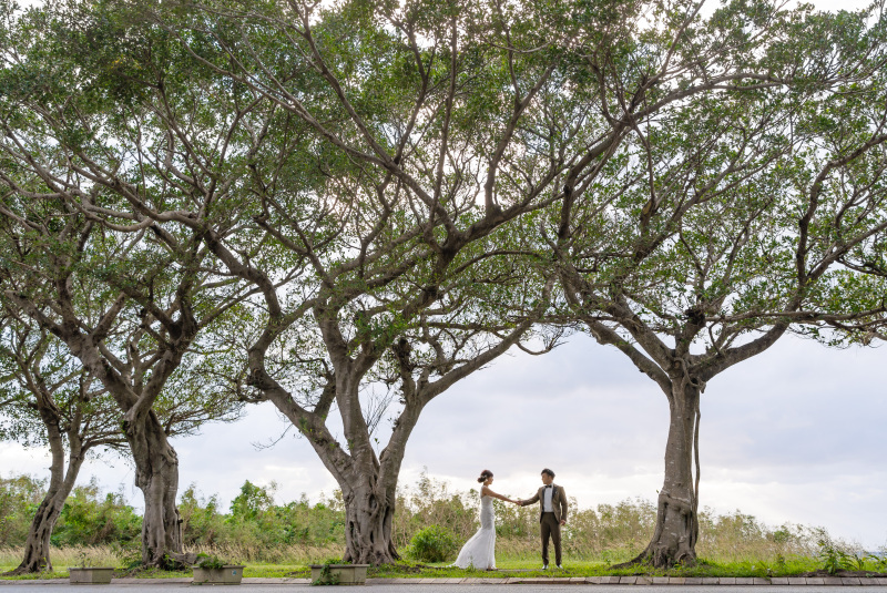 多幸の樹の下で☀