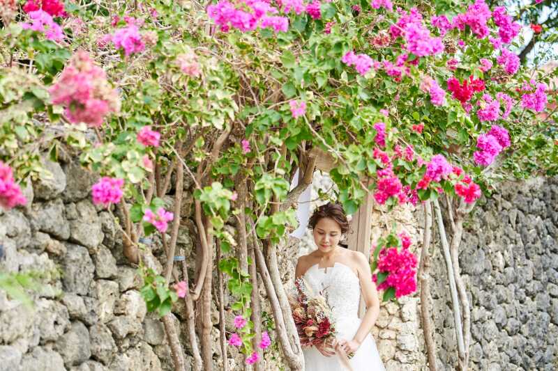 ブーゲンとともに