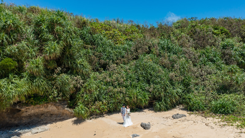 ドローンだから撮れる貴重なカット