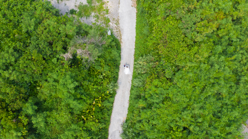 このドローンカットはお約束！