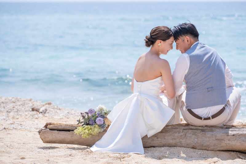 流木に座ってしっとりと