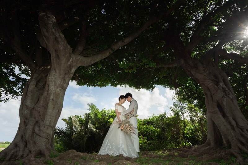 ガジュマルの木の下で