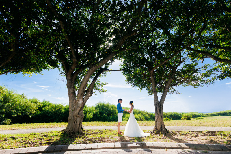 ガジュマル並木様の下で