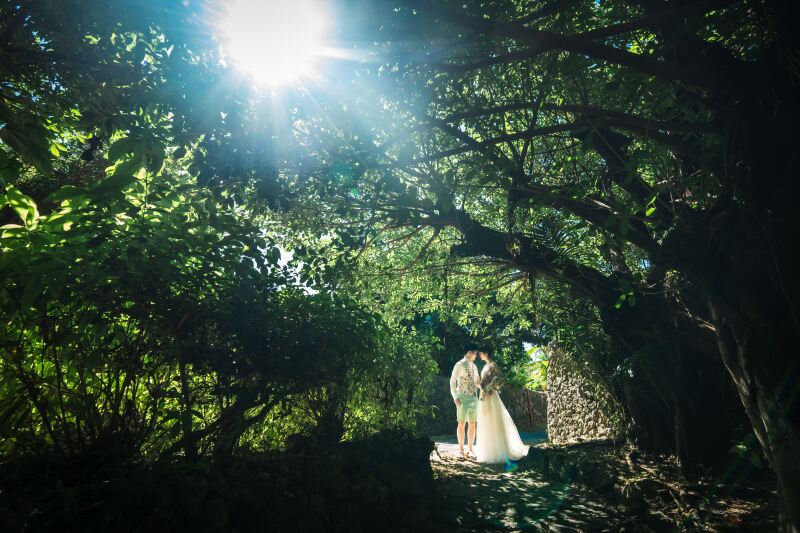 生き生きとした自然いっぱいのロケーション