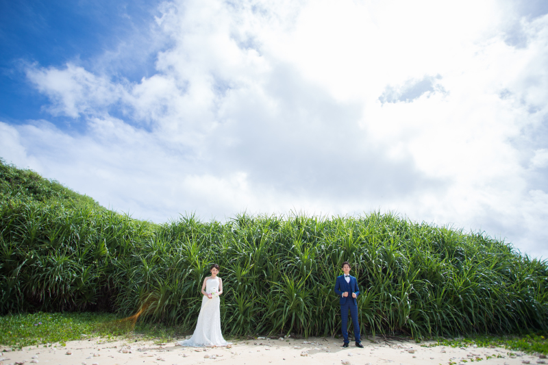 グリーンもいっぱいのビーチ