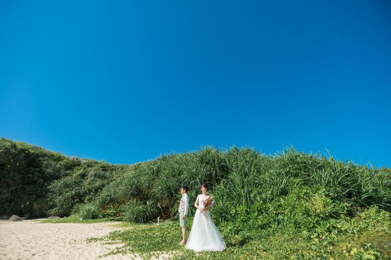 ブルーとグリーンのコントラスト