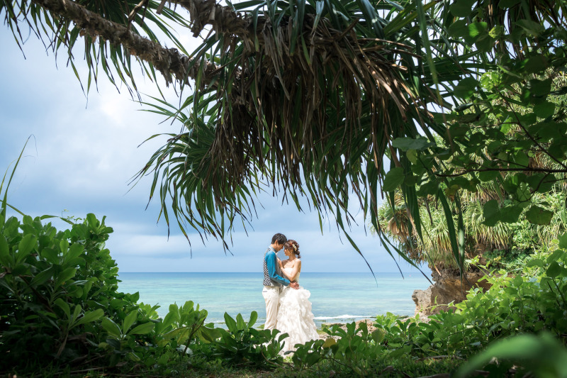 ナチュラルなグリーンの先に...