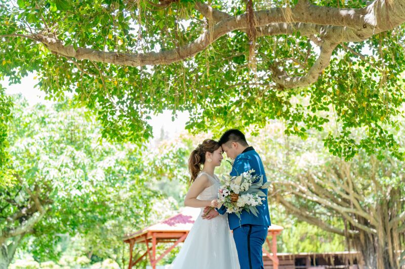 ガジュマルの木の下で