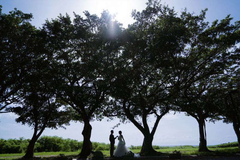ダイナミックなグリーンをバックに！