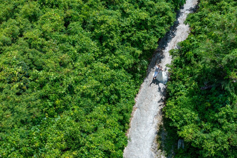 上空からのグリーンのお写真