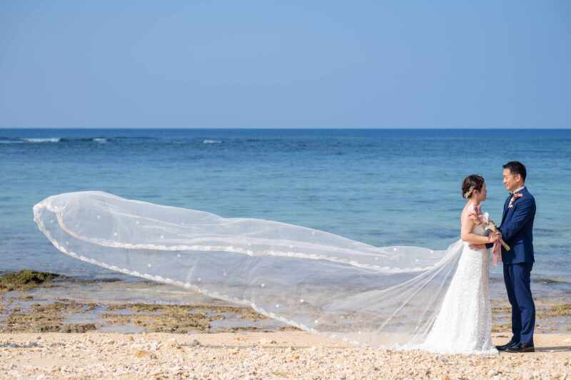 メチャいいのが撮れた！