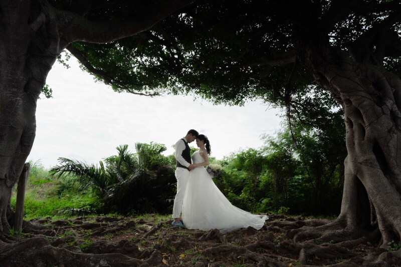 シエロ人気のカットから